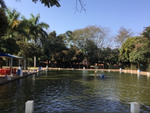 Foto de Pesque e Pague Kipeixe em Foz do Iguaçu, PR por Solutudo