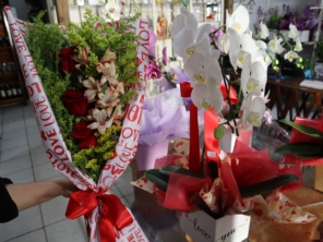 Foto galeria da empresa