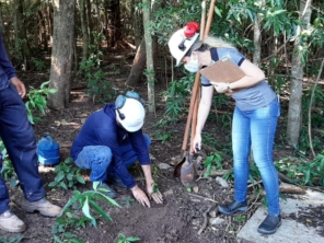 Foto galeria da empresa