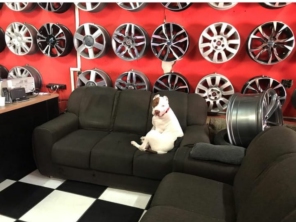 Foto de Dub Style Auto Center em Jundiaí, SP por Solutudo