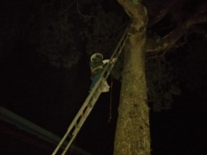 Foto de Apiário Singh em Avaré, SP por Solutudo