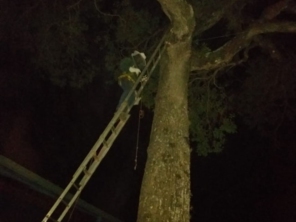 Foto de Apiário Singh em Avaré, SP por Solutudo
