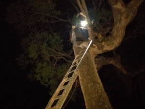 Foto de Apiário Singh em Avaré, SP por Solutudo