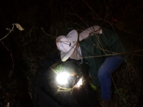 Foto de Apiário Singh em Avaré, SP por Solutudo