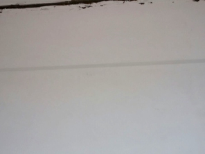Foto de Gesso Fontes em Botucatu, SP por Solutudo