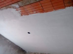 Foto de Gesso Fontes em Botucatu, SP por Solutudo