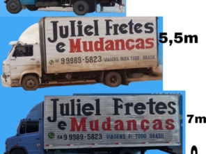 Foto de Juliel Fretes e Mudanças em Mineiros, GO por Solutudo