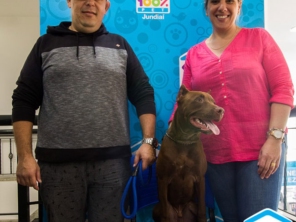 Foto de 100% Pet em Jundiaí, SP por Solutudo