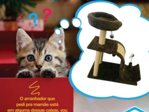 Foto de 100% Pet em Jundiaí, SP por Solutudo
