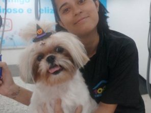Foto de 100% Pet em Jundiaí, SP por Solutudo