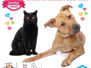 Foto de 100% Pet em Jundiaí, SP por Solutudo