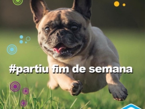 Foto de 100% Pet em Jundiaí, SP por Solutudo