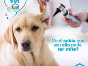 Foto de 100% Pet em Jundiaí, SP por Solutudo