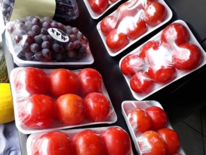 Foto galeria da empresa