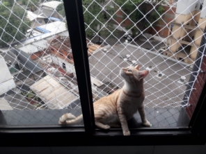 Foto de Renovalar Redes de Proteção em Foz do Iguaçu, PR por Solutudo