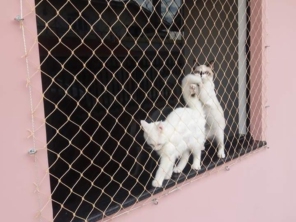 Foto de Renovalar Redes de Proteção em Foz do Iguaçu, PR por Solutudo