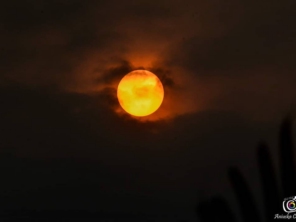 Foto de Aniuska Carteado Fotografia em Araçatuba, SP por Solutudo