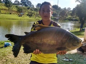 Foto de Pesqueiro Maranhão em Itu, SP por Solutudo