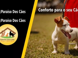 Foto de Paraíso dos Cães em Tatuí, SP por Solutudo