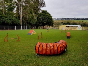 Foto galeria da empresa