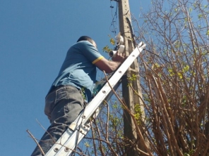Foto de Sobreira Rastreamento em Araçatuba, SP por Solutudo