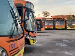 Foto de Sobreira Rastreamento em Araçatuba, SP por Solutudo