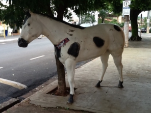 Foto de Loja do Cowboy em Santa Cruz do Rio Pardo, SP por Solutudo