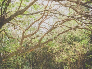 Foto de Oliveira Fotografias em Bauru, SP por Solutudo