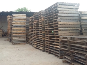 Foto galeria da empresa