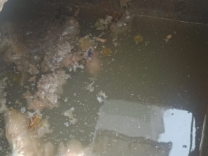 Foto de Desentupidora Maloy em São Sebastião, SP por Solutudo