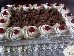 Foto galeria da empresa