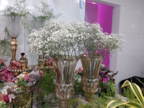 Foto galeria da empresa