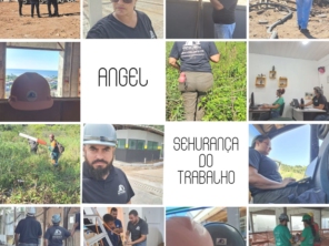 Foto de Angel Saúde e Segurança do Trabalho em Caraguatatuba, SP por Solutudo