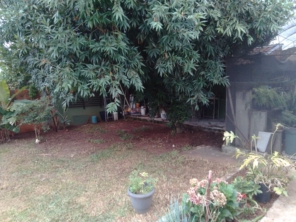 Foto de Modesto Limpeza de Terreno em Botucatu, SP por Solutudo