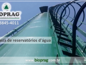 Foto de Bioprag - Controle Integrado de Pragas Urbanas - Boituva em Boituva, SP por Solutudo