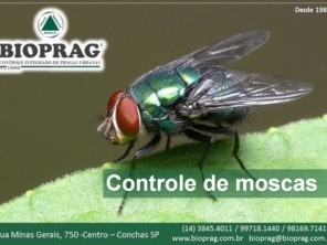 Foto de Bioprag - Controle Integrado de Pragas Urbanas - Boituva em Boituva, SP por Solutudo