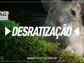 Foto de Bioprag - Controle Integrado de Pragas Urbanas - Boituva em Boituva, SP por Solutudo