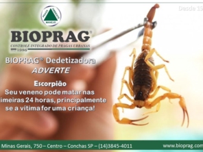 Foto de Bioprag - Controle Integrado de Pragas Urbanas - Boituva em Boituva, SP por Solutudo