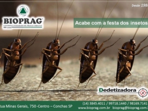 Foto de Bioprag - Controle Integrado de Pragas Urbanas - Boituva em Boituva, SP por Solutudo