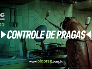 Foto de Bioprag - Controle Integrado de Pragas Urbanas - Boituva em Boituva, SP por Solutudo
