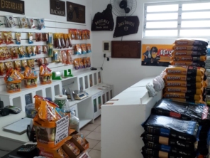 Foto de Clinivet Milu em Joinville, SC por Solutudo