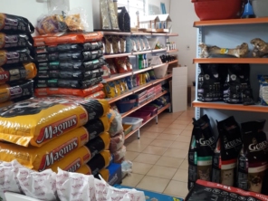 Foto de Clinivet Milu em Joinville, SC por Solutudo