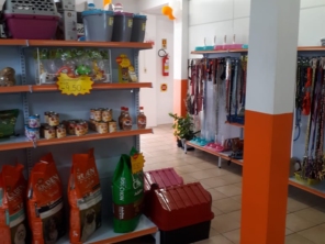 Foto de Clinivet Milu em Joinville, SC por Solutudo