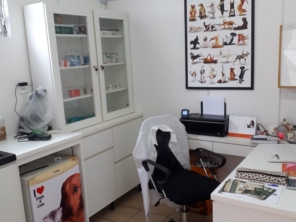 Foto de Clinivet Milu em Joinville, SC por Solutudo