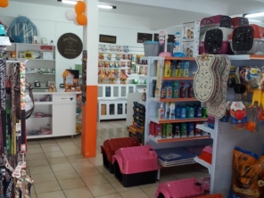 Foto de Clinivet Milu em Joinville, SC por Solutudo