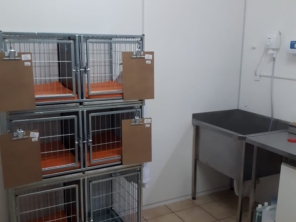 Foto de Clinivet Milu em Joinville, SC por Solutudo