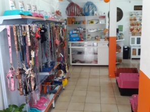 Foto de Clinivet Milu em Joinville, SC por Solutudo