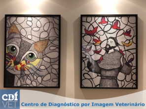 Foto de CDIVET - Centro de Diagnóstico por Imagem Veterinário em Botucatu, SP por Solutudo
