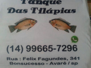 Foto de Tanque das Tilápias em Avaré, SP por Solutudo