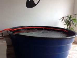 Foto galeria da empresa